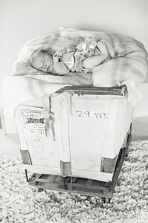 sara-kauss-photography-1541