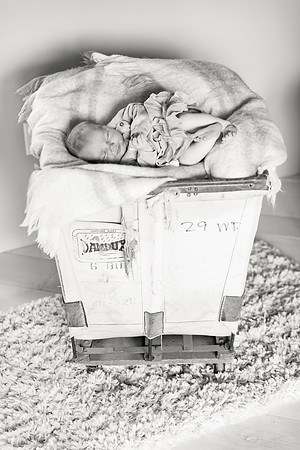 sara-kauss-photography-1602