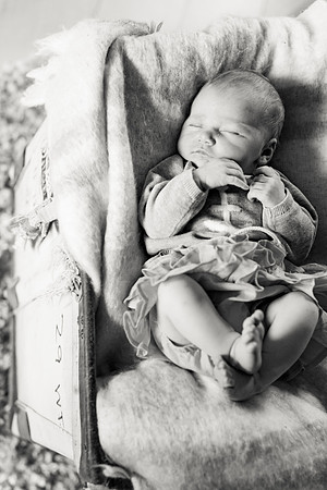 sara-kauss-photography-1678
