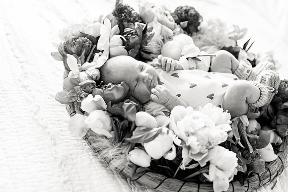 sara-kauss-photography-2233
