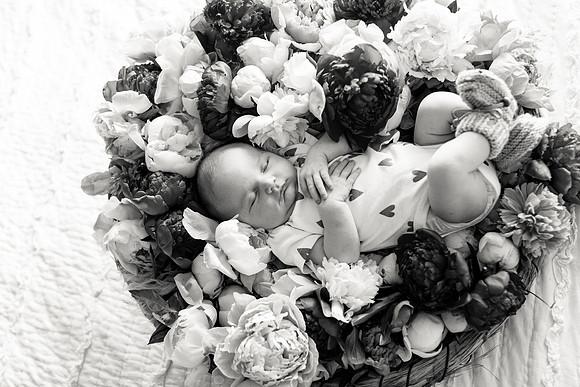 sara-kauss-photography-2429
