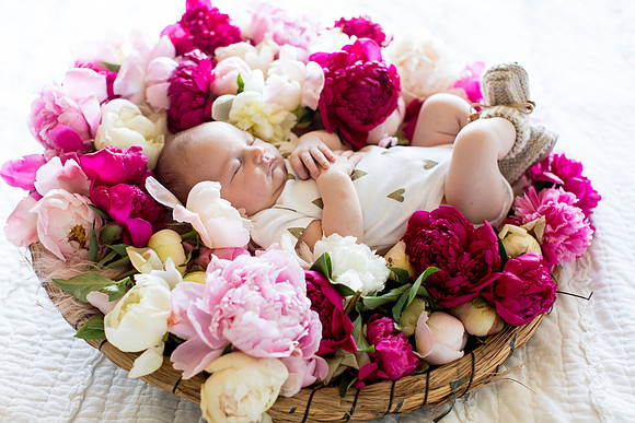 sara-kauss-photography-2441