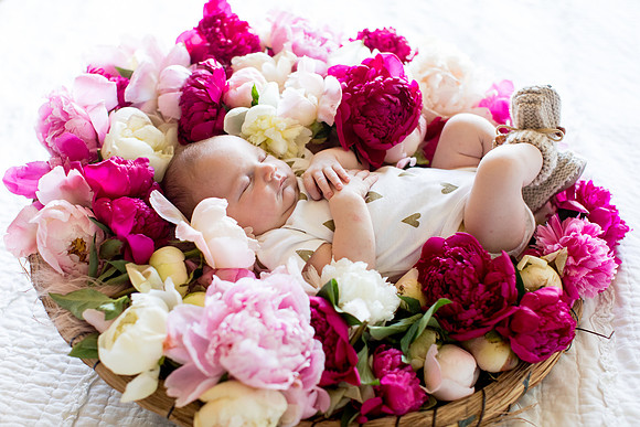 sara-kauss-photography-2445