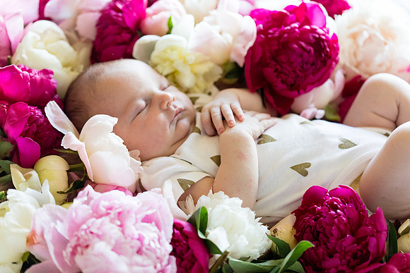 sara-kauss-photography-2452