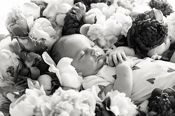 sara-kauss-photography-2453