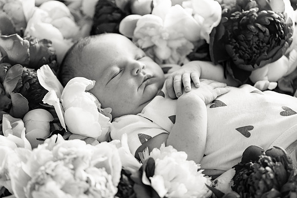 sara-kauss-photography-2460