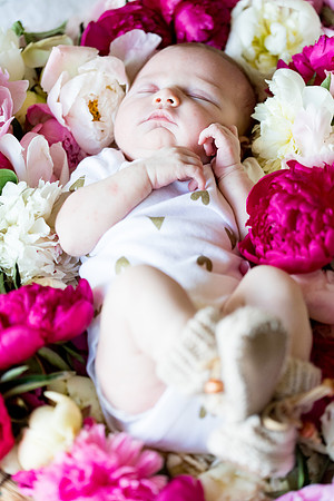sara-kauss-photography-2475