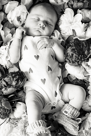 sara-kauss-photography-2496