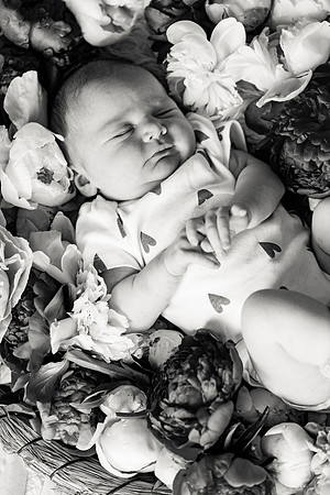 sara-kauss-photography-2500