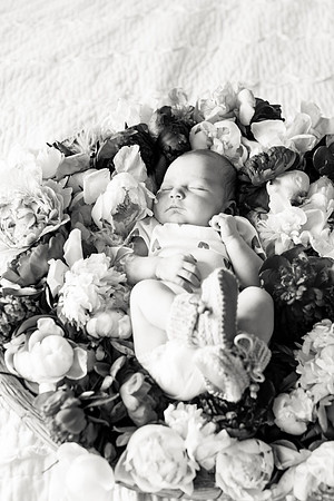 sara-kauss-photography-2546