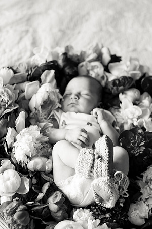 sara-kauss-photography-2550
