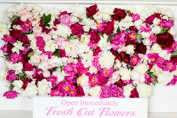 sara-kauss-photography-2721