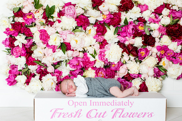 sara-kauss-photography-2759