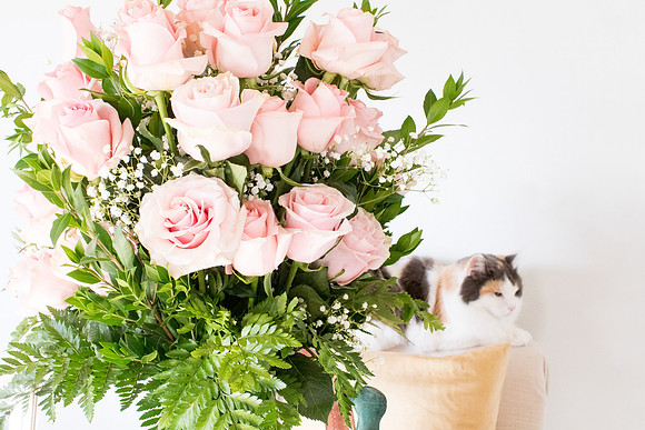 sara-kauss-photography-3046
