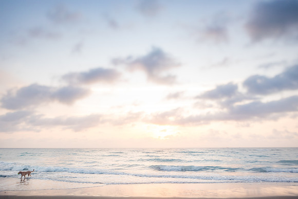 sara-kauss-photography-2992