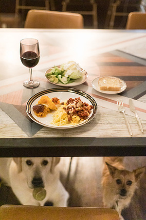 sara-kauss-photography-4475