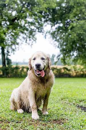 sara-kauss-photography-5502