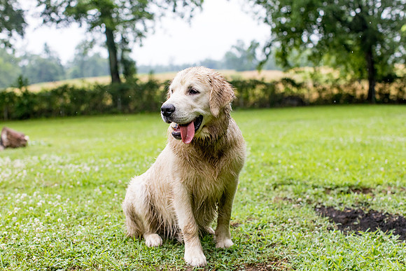 sara-kauss-photography-5505