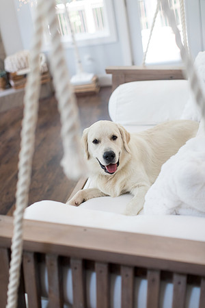 sara-kauss-photography-6204