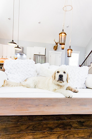 sara-kauss-photography-6218