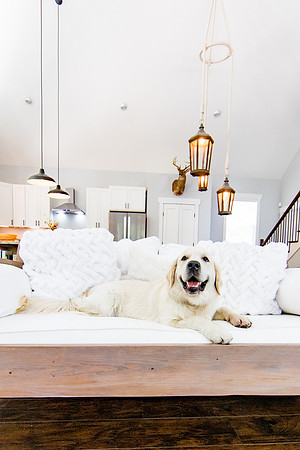 sara-kauss-photography-6222