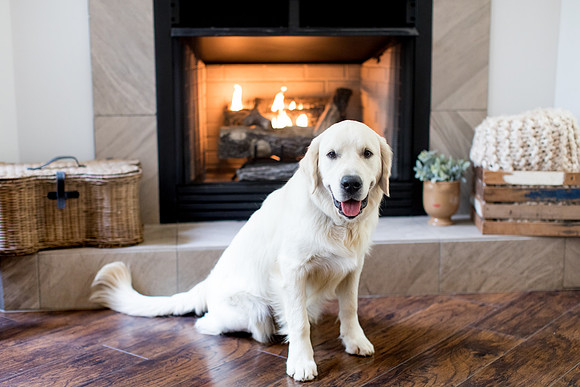 sara-kauss-photography-6237