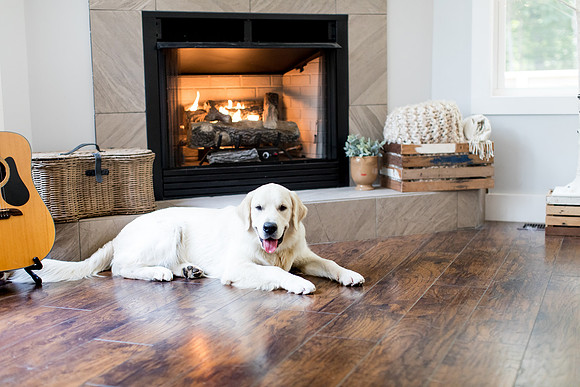 sara-kauss-photography-6240