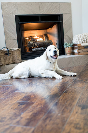 sara-kauss-photography-6257