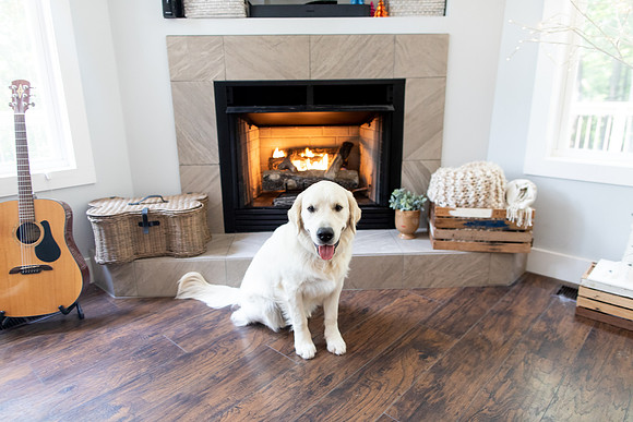 sara-kauss-photography-7366