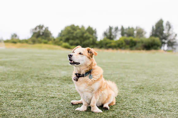 sara_kauss_photography_4430