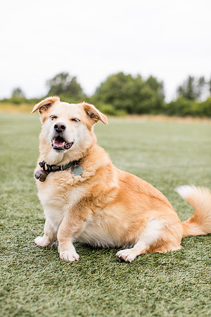 sara_kauss_photography_4424