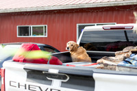 sara_kauss_photography_3796