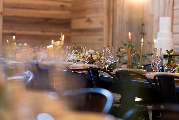 sara_kauss_photography_7134