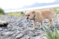 sara_kauss_photography_1735