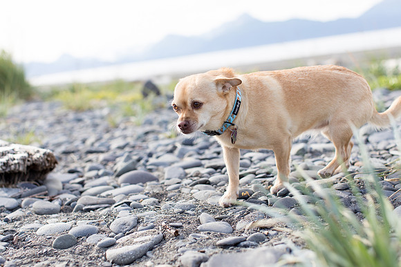 sara_kauss_photography_1735