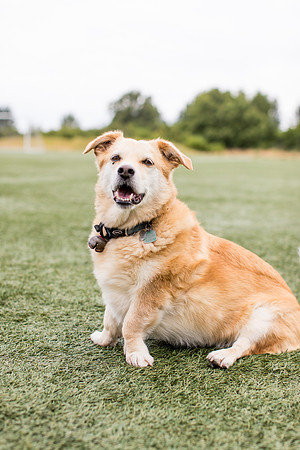 sara_kauss_photography_4423