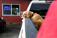 sara_kauss_photography_3783