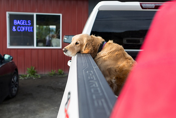 sara_kauss_photography_3783