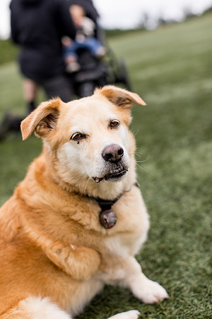 sara_kauss_photography_4419