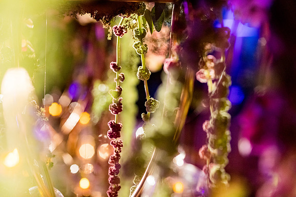 1139-sara-kauss-photography-8049