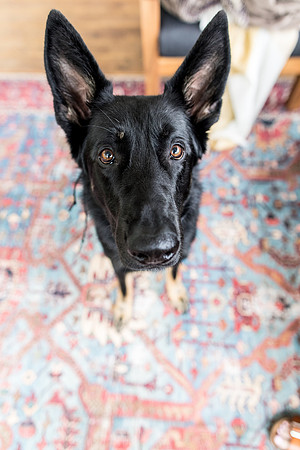 sara_kauss_photography_1869