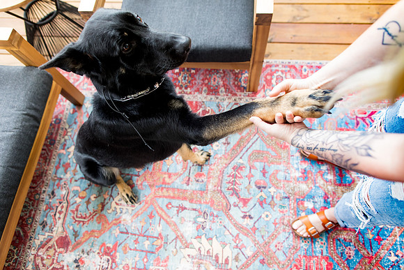 sara_kauss_photography_1873