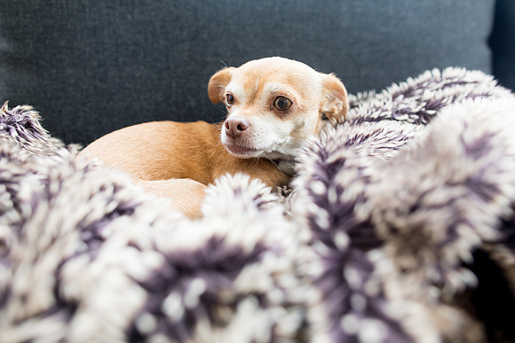 sara_kauss_photography_1891