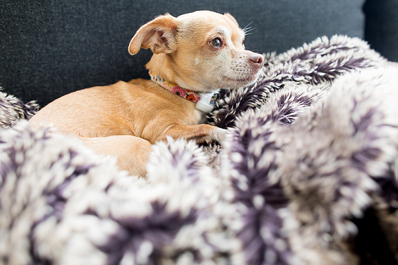 sara_kauss_photography_1897