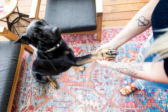 sara_kauss_photography_1874