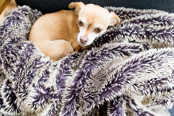 sara_kauss_photography_1890