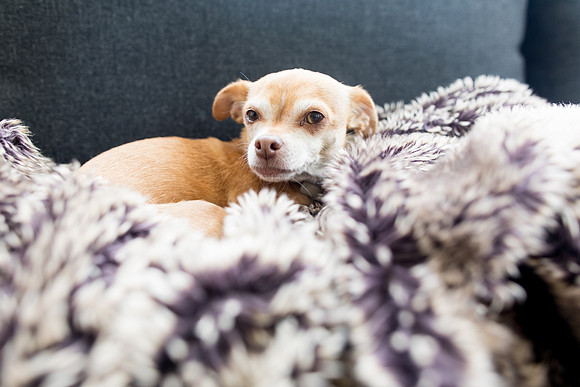 sara_kauss_photography_1893