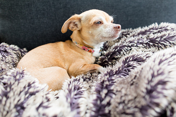 sara_kauss_photography_1898