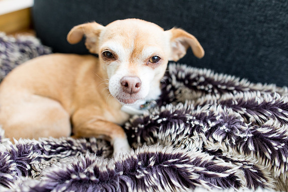 sara_kauss_photography_1901