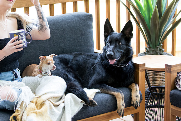 sara_kauss_photography_8132